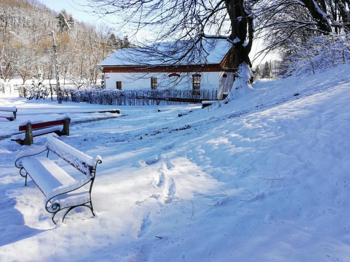 Parva Foresta Lejlighed Miskolc Eksteriør billede
